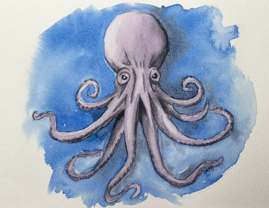 Octopus